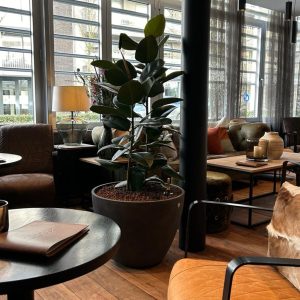 lupo_environmental_web